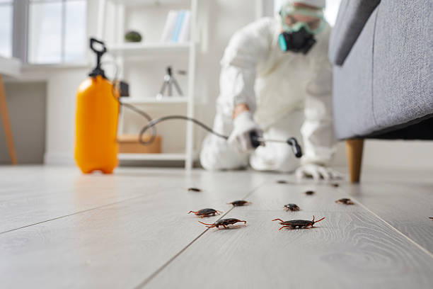 Post-Treatment Bed Bug Interceptor Monitoring in Whitney